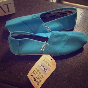 Toms light blue canvas shoes